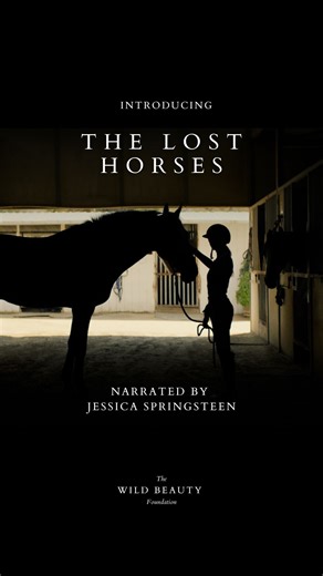 The Wild Beauty Foundation | Today, we are deeply proud to debut The Lost Horses: “HERO” — a powerful new PSA narrated by Olympian Jessica Springsteen. Every year,... | Instagram