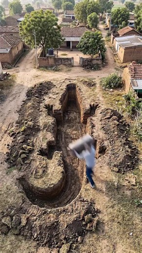 Build a Giant Crocodile Pond in Your Backyard