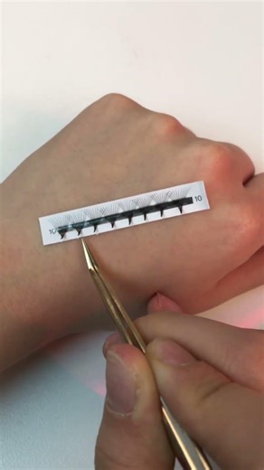 Why Every Lash Artist NEEDS a 6D Mini Tray! 🚨 #shorts