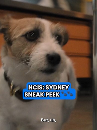 NCIS Sydney Returns Tonight!