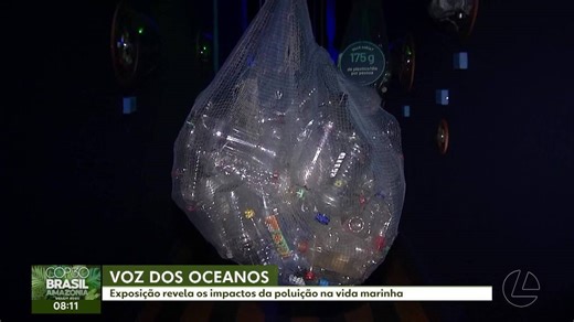 Exposição ‘Voz do Oceano’ mostra impactos da poluição na vida marinha