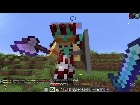 Lifesteal smp players do 7v7s.