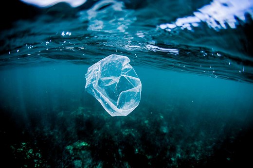 What's So Bad About Plastic Bags?