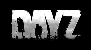 DayZ Guide - IGN