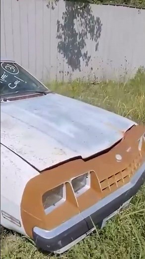 EVER SEE A BUICK SKYHAWK?