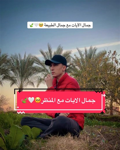 Exploring Signs in Creation: Al Imran 190 Reflection