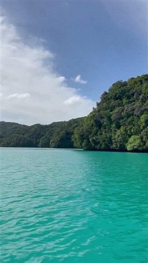 🇵🇼 Palau Rock Island Cruise Episode 129 #visitpalau #travel #palau #palau
