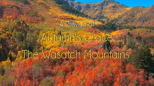 Autumn's Grace, The Wasatch Mountains