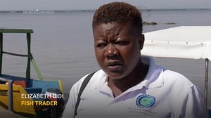 Africa's freshwater fish face extinction in Lake Victoria due to pollution, overfishing and ...