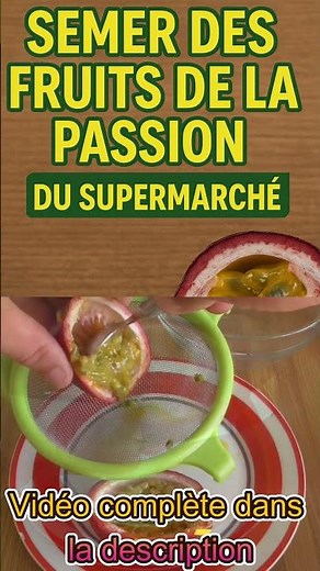 How to sow passion fruit from the supermarket! #vegetable garden #gardening #passion fruit