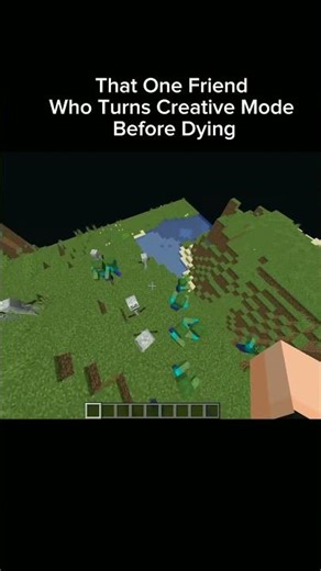 That one friend who turns creative mode before dying #usa