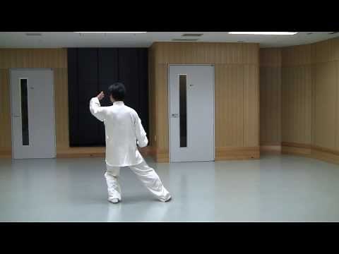 ２４式太極拳　背面 簡化２４式太極拳　竹内健二　竹内太極拳