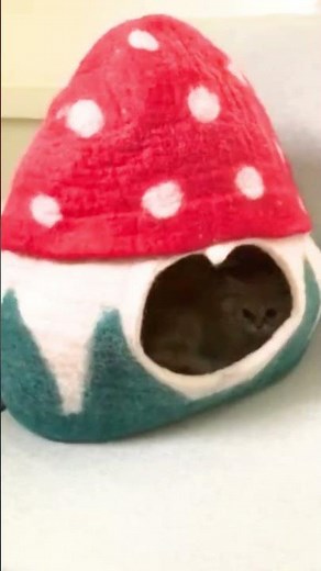 Handmade Wool Felt Cat Cave: Mountain Explorer Design