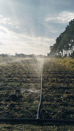 Life As A Young Kenyan Farmer: Onion and Cabbage Farming Journey 🌱🚜