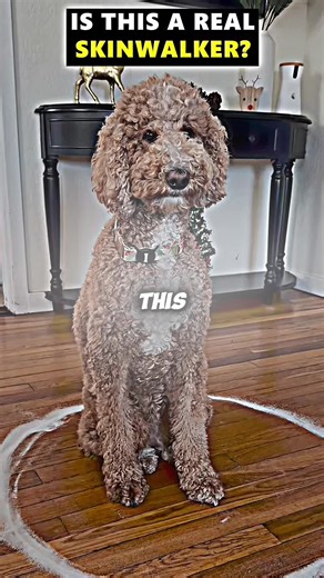 Understanding Skinwalkers: Myths and Realities