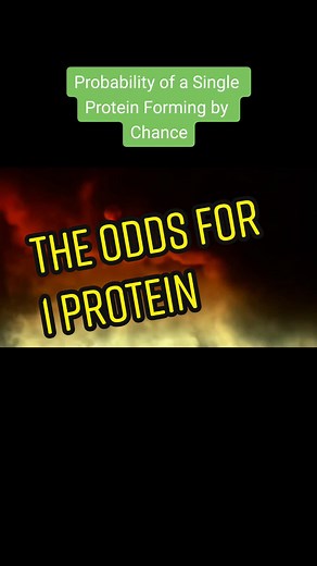 Probabilities of Life's Origin: The Challenge of Proteins