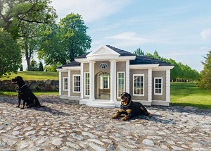 Luxury dog houses and accessories for your pampered pooches | loveproperty.com