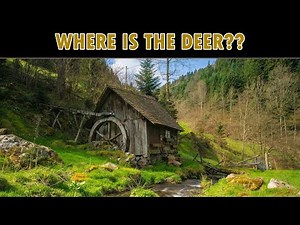 Nobody Can See All The Hidden Animals । Optical Illusions । Brain Teasers | Family Game