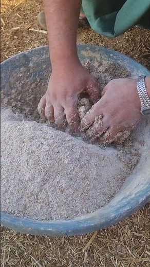 Village Life: Preparing Animal Feed for the Farm 🐑🌾 | Real Rural Life