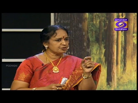 DD Podhigai TV Live Stream