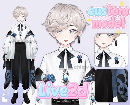 Custom Live2d Vtuber | Model Rigging Commission | Personalized 2D Virtual Avatar for Streaming Content Creation - Etsy