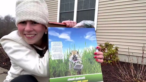 Mole Repellent 10P Solar-Powered Outdoor, Gopher Repellent for Lawn Garden Yard, Mole and Vole Repeller Waterproof, Effectively Repels Gophers Snake Chipmunks Groundhogs,