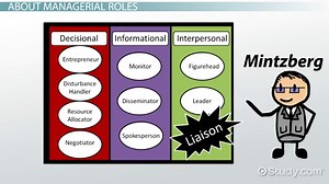 Liaison Officer Job Description, Role & Examples