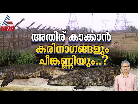 നുഴഞ്ഞുകയറ്റക്കാരെ തടയാൻ വിഷജന്തുക്കളെ ഇറക്കാൻ നീക്കം; അന്ന് മുതലകളെ വിട്ട സംഭവം മറക്കരുത്