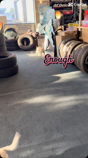 Philip Hernandez on Reels