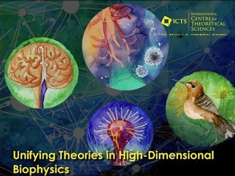 Biological Computations by Marianne Bauer