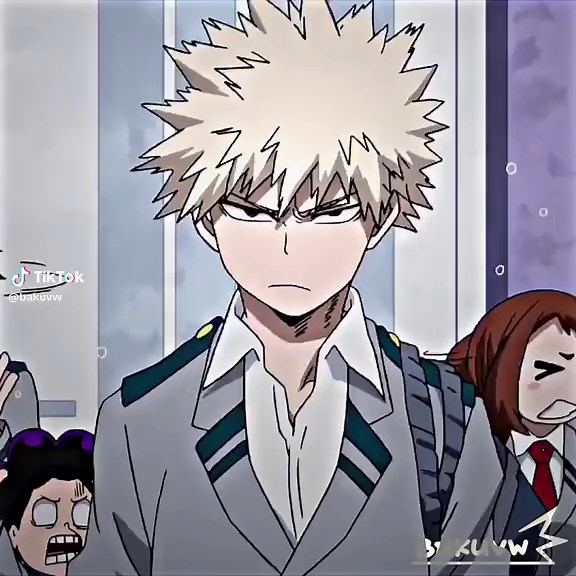 Chihuahua Bakugou Boom Boom Edit | My Hero Academia