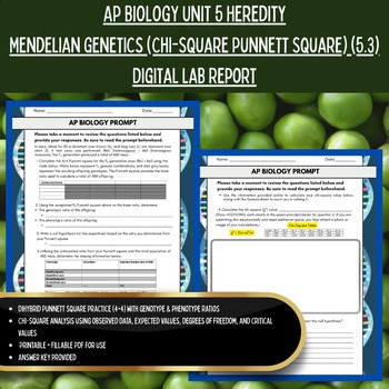 AP Biology UNIT 5 Heredity 5.3 Chi-Square Punnett Square Digital Lab Report