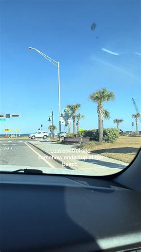 Lost Control: A Beach Day Adventure in Florida