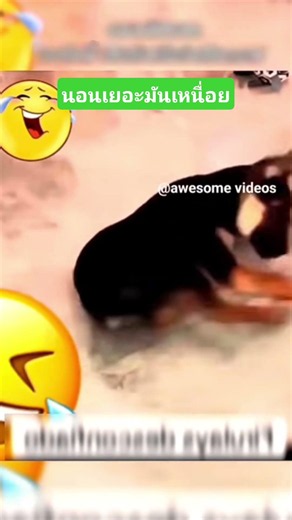 นอนเยอะมันเหนื่อย #funny #reels #awesomevideos #คลิปตลก