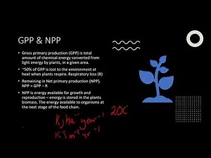 AQA A Level Biology: Energy Transfer and Nutrient Cycles Part 1