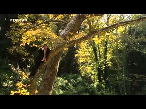 ΚΛΙΝΙΚΗ ΠΕΡΙΠΤΩΣΗ επεισόδιο 8 - KLINIKH PERIPTWSH S01E08 | MEGA