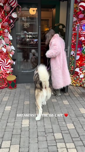 Elena & Luke 🐾| lifestyle creator | Odesa 🇺🇦 on Instagram: "зайшли в @bbcafe.odesa на сніданок ❤️ Різдвяна атмосфера, смачні сніданки і до того вони ще й пет френдлі 👍🏻що ще потрібно для чудового настрою 🤗 дуже дякуємо ❤️🥰 було смачно і затишно ❤️"