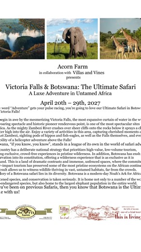 AFRICA. APRIL 2027. 🐘✨ Victoria Falls & Botswana: The Ultimate Safari April 20–29, 2027 This is not just a trip. It’s a once-in-a-lifetime, luxe adventure into the last great wilderness. • Stand in awe before Victoria Falls, the largest curtain of water in the world • Cruise the Zambezi at sunset with hippos and elephants along the shoreline • Safari in Botswana, home to the largest elephant population on Earth • Stay at iconic, ultra-luxury camps in the Linyanti Reserve and the legendary Mombo