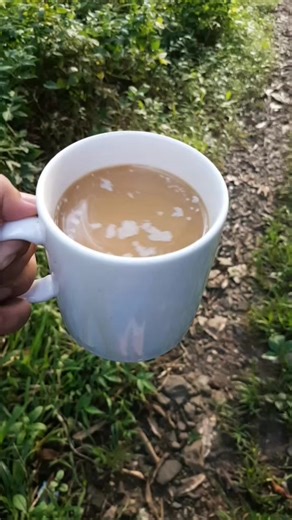 Berting (@berting_shop2)’s videos with original sound - Meg - user54080336725