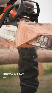 1K views · 1.9K reactions | 蝹 La motosierra STIHL que siempre quisiste, ahora a un precio que no imaginás. Compacta, fácil de usar y ahora más accesible que nunca. Ideal para los que aman la vida al aire libre y quieren cortar su propia leña sin complicaciones. Pasá por tu concesionario más cercano o entrá a la web y sorprendete. Animate a confiar en el poder de #STIHL. #STIHLArgentina #MS162 #MotosierraSTIHL #AsadoALeña | STIHL | Facebook