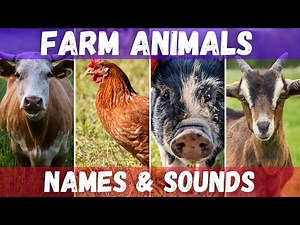 Farm Animals Names and sounds for kids | #animalsounds #farmanimals