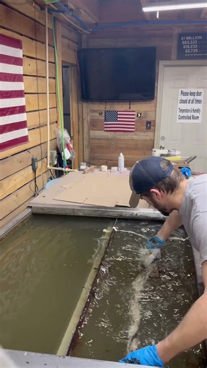 Hydrodipping gun stocks #hydrodip #fypシ