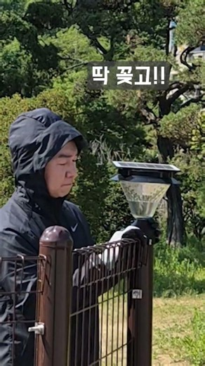 Solar Garden Fence Light Installation Review!! #Interior #DIYInterior #SolarPower #Lighting #DIYI...