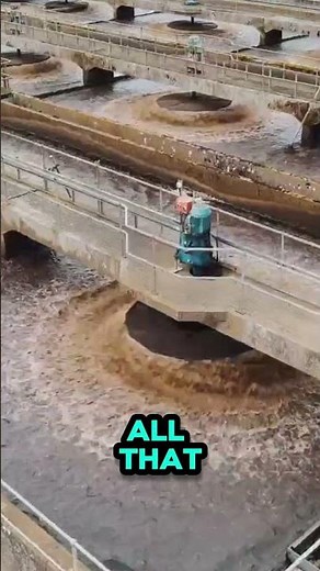 Sewer Jetting Explained | The Most Powerful Way to Clear Clogged Sewer Lines