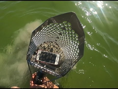 Metal Detecting during spring break at Fort Myers Beach. SO many rings!!!