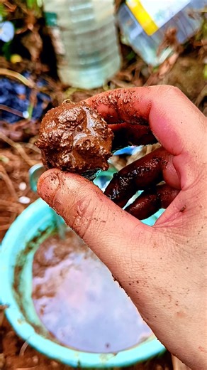 A RAM SAM SAM chiki Tudz 🤗❤🍒🔥 #youtubeshorts #funny #cutebabyfunny #cute