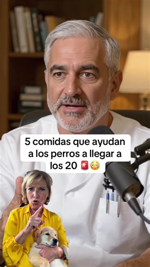 SI TIENES UN PERRITO DEBERÍAS SABER ESTO 🚨🇺🇸 #usa🇺🇸 #unitedstates #dogsoftiktok #dogproducts