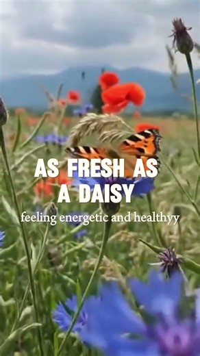 English Idiom Of The Day: Feeling fresh
