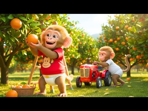 Sadie Monkey’s Peaceful Orange Day Turns Into a Tractor Theft Attempt!