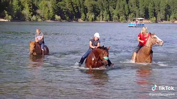 no horses or crazy cowgirls were hurt in this video#trump2020 #horse #swimming #childhoodmemories #memories #lakelife #fyp #viral #cowgirl
